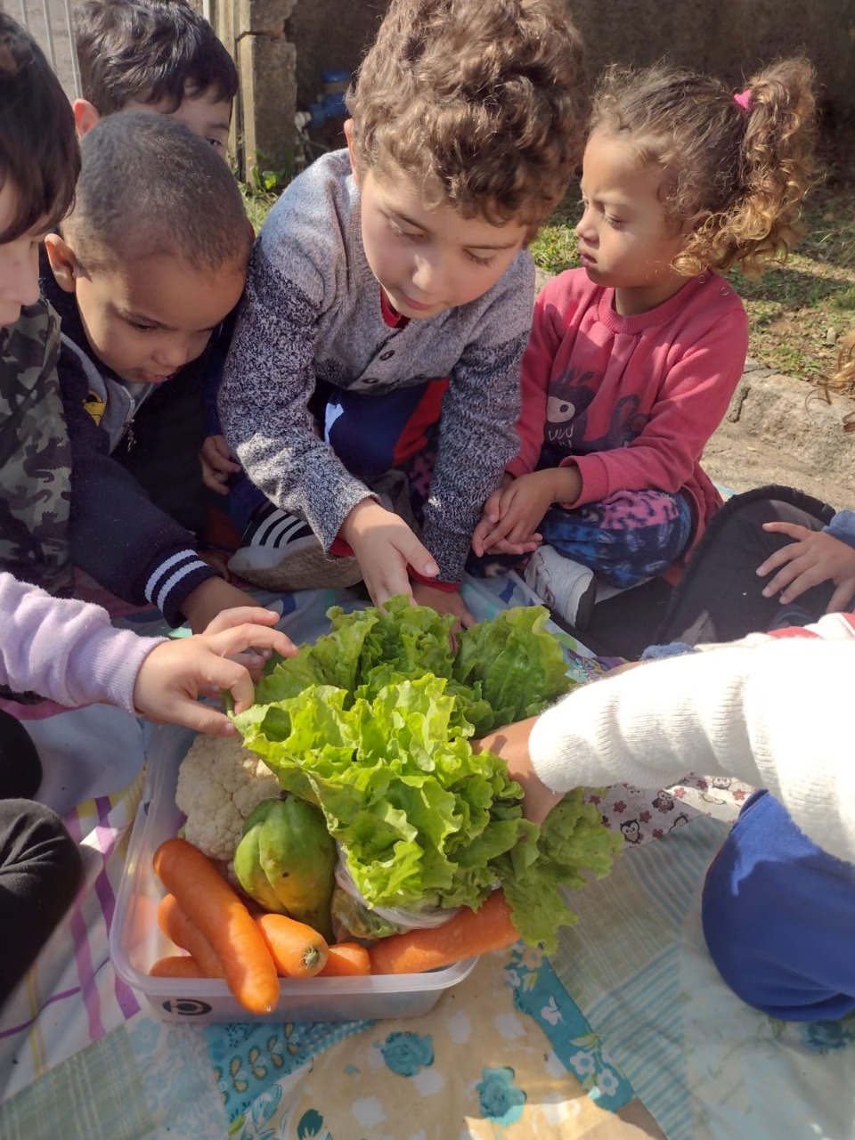 Atividades de Alimentação Saudável incentiva os alunos sobre ingestão de frutas e verduras diariamente